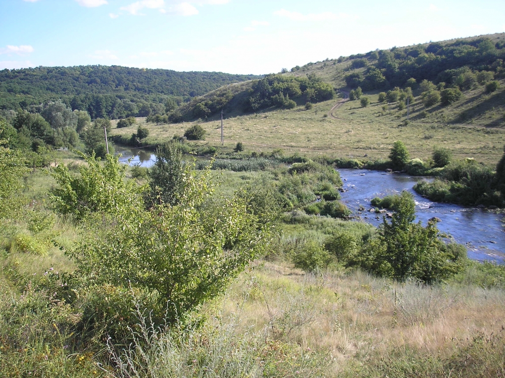р. Мурафа побл. с. Бандишівка
